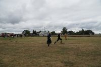 DSC03531