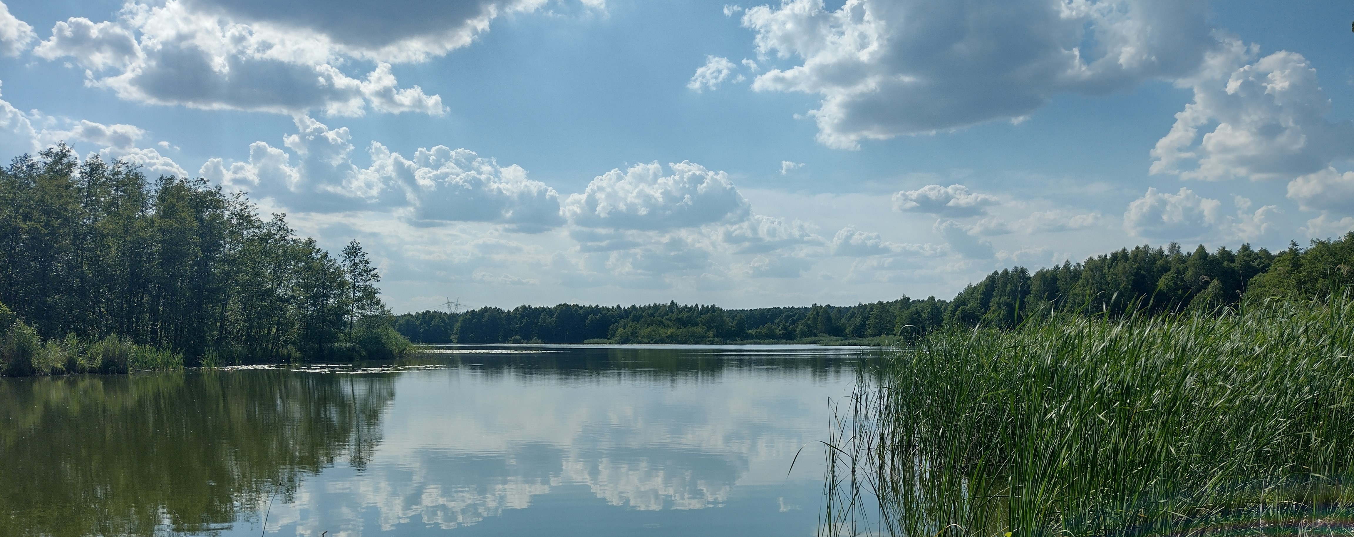 Kierownictwo Urzędu Gminy