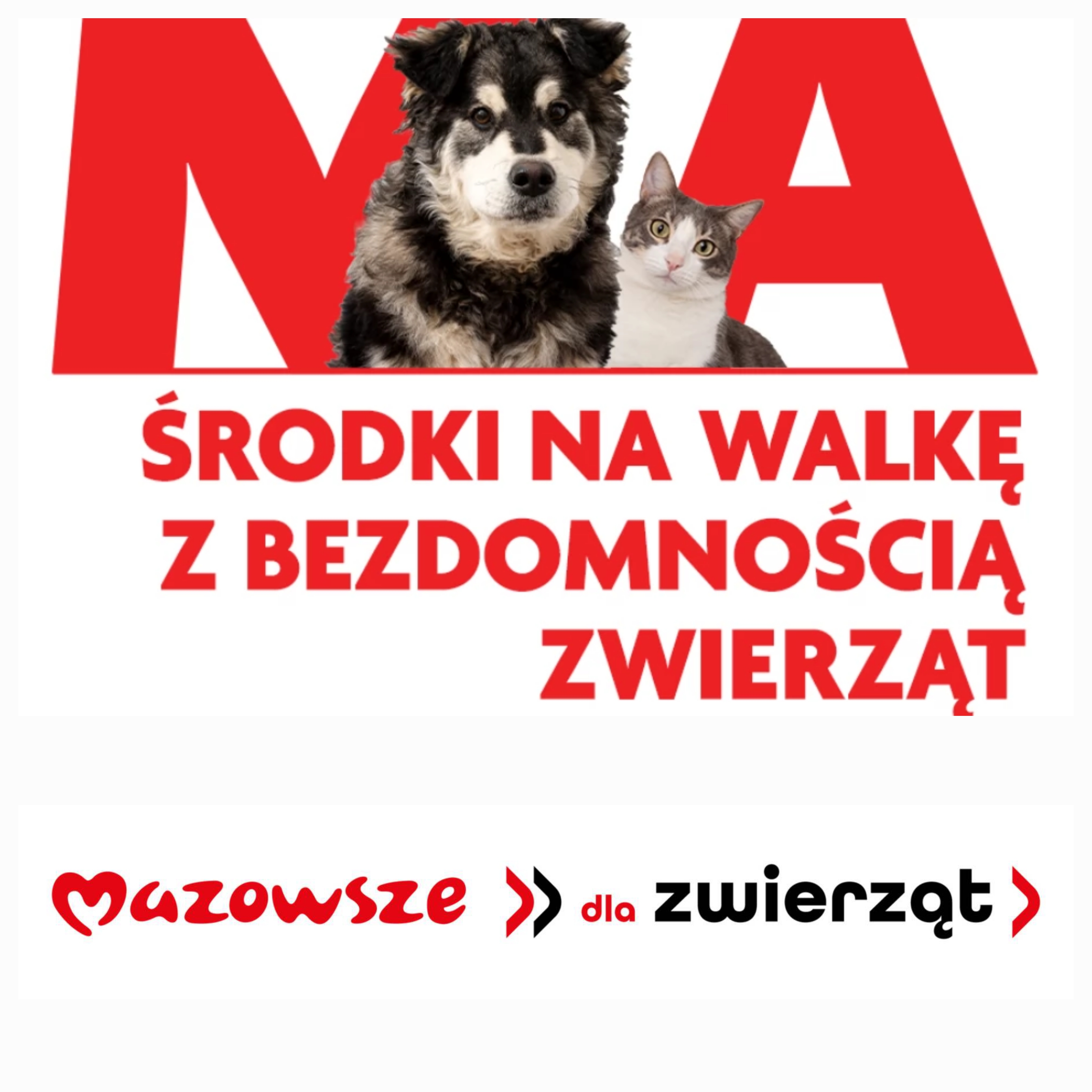 Gmina Przyłęk z dofinansowaniem na opiekę nad zwierzętami